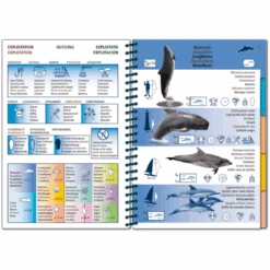 LIVRE PICTOLIFE ATLANTIQUE Immergeable 4 LIVRE PICTOLIFE ATLANTIQUE Immergeable -AQUALUNG Soldes Boutique LIVRE PICTOLIFE ATLANTIQUE immergeable 978 2 9527809 2 6 1