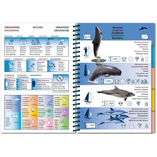 LIVRE PICTOLIFE ATLANTIQUE Immergeable 2 LIVRE PICTOLIFE ATLANTIQUE Immergeable – Image 2