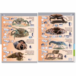 LIVRE PICTOLIFE MAREE BASSE ATLANTIQUE EST Immergeable -AQUALUNG Soldes Boutique LIVRE PICTOLIFE MAREE BASSE ATLAANTIQUES EST immergeable 1