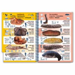 LIVRE PICTOLIFE MEDITERRANEE Immergeable 4 LIVRE PICTOLIFE MEDITERRANEE Immergeable -AQUALUNG Soldes Boutique LIVRE PICTOLIFE MEDITERRANEE immergeable 978 2 9527809 1 1