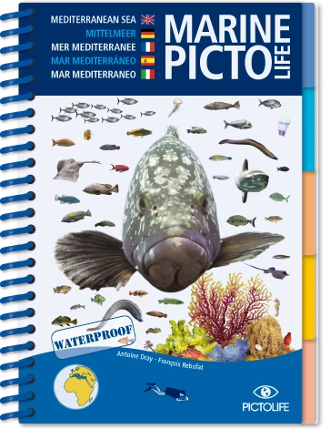 LIVRE PICTOLIFE MEDITERRANEE Immergeable 1 LIVRE PICTOLIFE MEDITERRANEE Immergeable