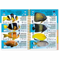 LIVRE PICTOLIFE OCEAN INDIEN ET MER ROUGE Immergeable 4 LIVRE PICTOLIFE OCEAN INDIEN ET MER ROUGE Immergeable -AQUALUNG Soldes Boutique LIVRE PICTOLIFE OCEAN INDIEN ET MER ROUGE immergeable 97 1