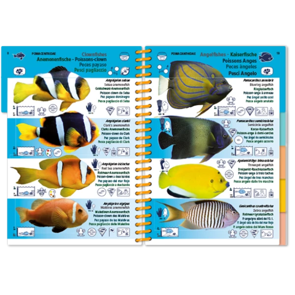 LIVRE PICTOLIFE OCEAN INDIEN ET MER ROUGE Immergeable 2 LIVRE PICTOLIFE OCEAN INDIEN ET MER ROUGE Immergeable – Image 2