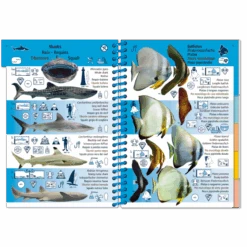 LIVRE PICTOLIFE PACIFIQUE ASIATIQUE Immergeable 4 LIVRE PICTOLIFE PACIFIQUE ASIATIQUE Immergeable -AQUALUNG Soldes Boutique LIVRE PICTOLIFE PACIFIQUE ASIATIQUE immergeable 979 10 9 1