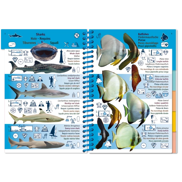 LIVRE PICTOLIFE PACIFIQUE ASIATIQUE Immergeable 2 LIVRE PICTOLIFE PACIFIQUE ASIATIQUE Immergeable – Image 2