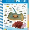 LIVRE PICTOLIFE PACIFIQUE ASIATIQUE Immergeable