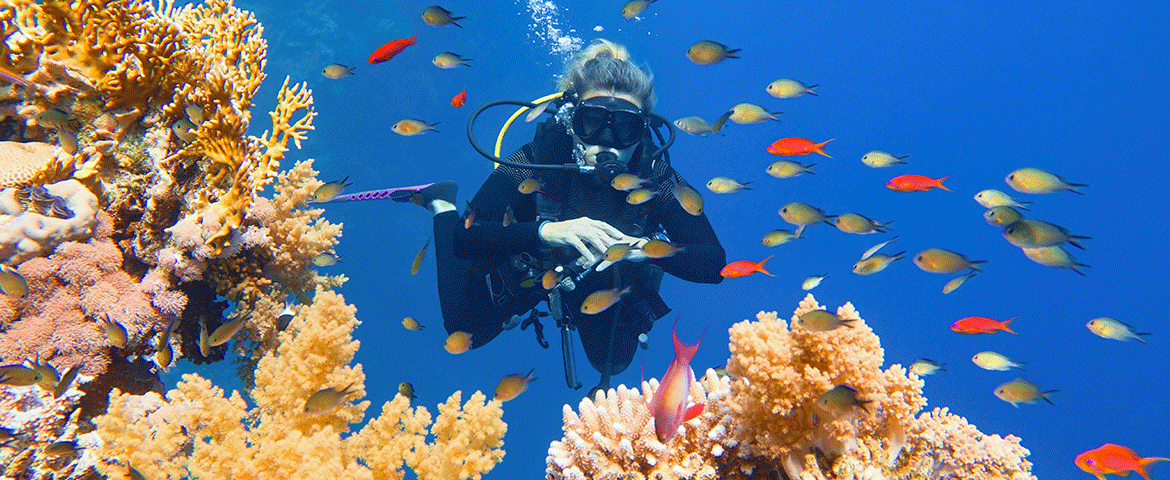 AQUALUNG Soldes Boutique -AQUALUNG Soldes Boutique plongee sous marine 0